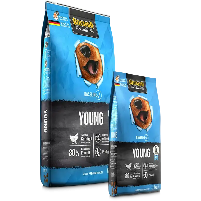 Belcando Baseline Young Dry Food with poultry for M to XL Breed junior Dogs 12.5 kg.