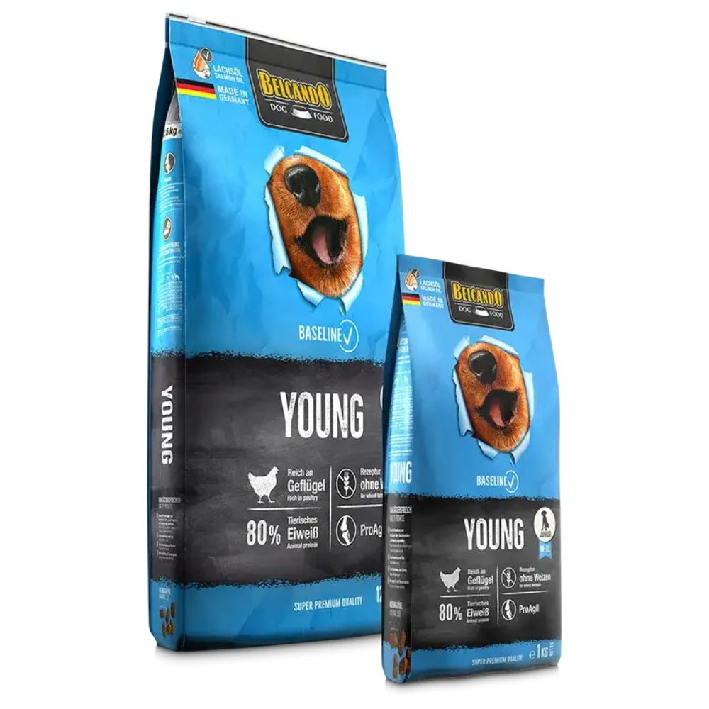 Belcando Baseline Young Dry Food with poultry for M to XL Breed junior Dogs 12.5 kg.
