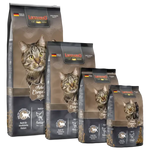 Leonardo cat food packages with a cat on the packaging on a white background