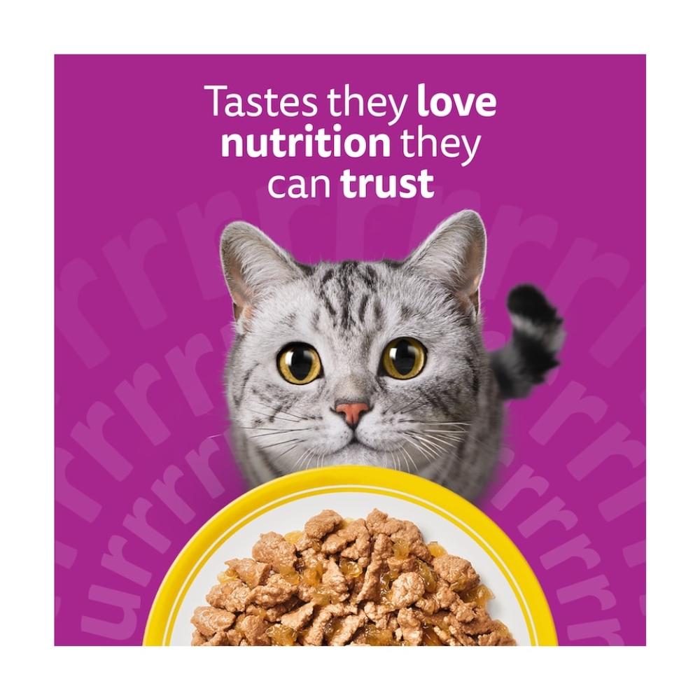Whiskas Cat Wet Food with Turkey 85g