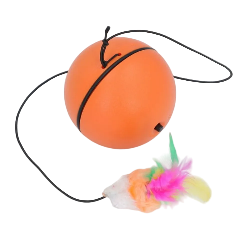 Orange ball with a black string and colorful feather attachment on a white background