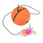 Orange ball with a black string and colorful feather attachment on a white background