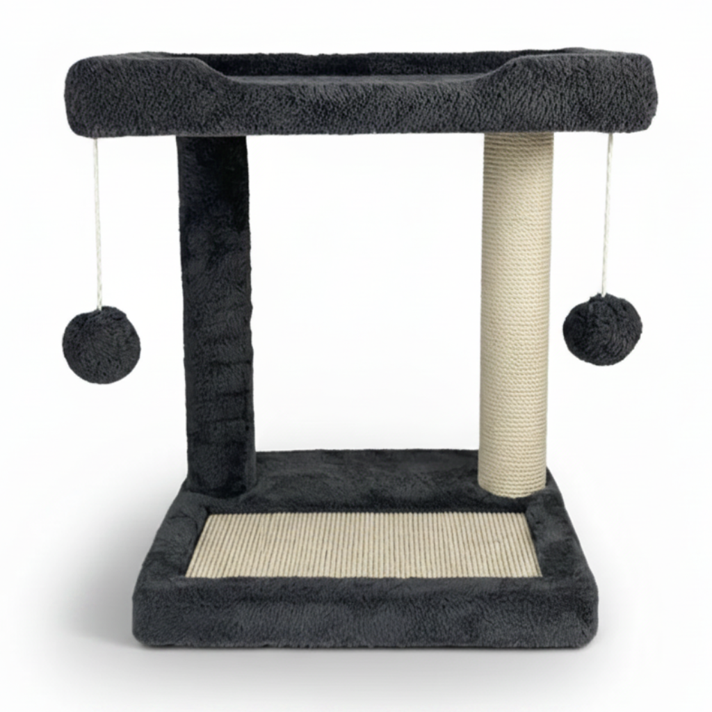 Cat House 6