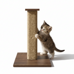Cat scratching post with kitten on white background