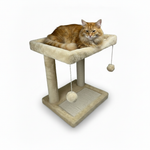 Cat sitting on top of beige cat tree