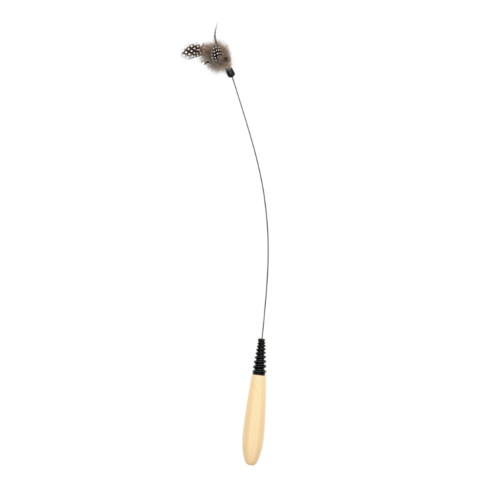 Cat Wand Feather Bird