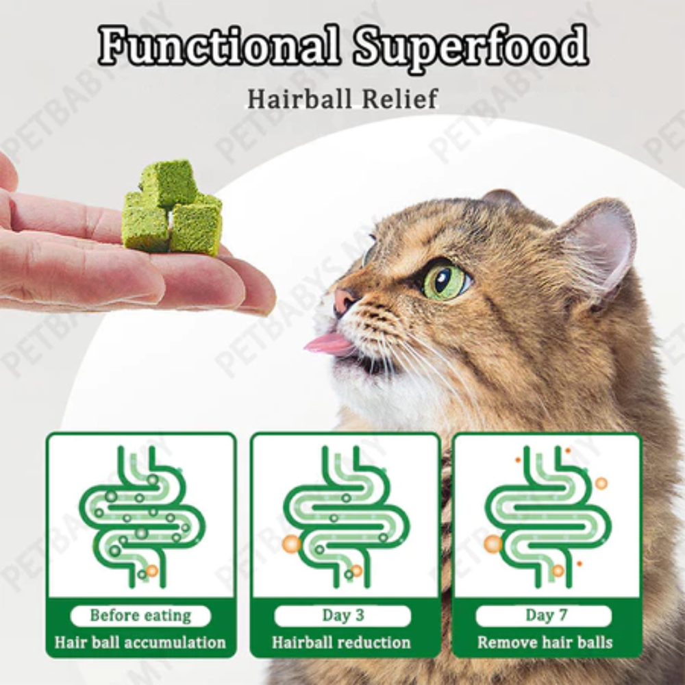 Cat Freeze Dried Chicken Cube 50g Petfast.shop PetLusci Cat Chewy Treat Treats petfast.shop EgyptDefault Title 250.00