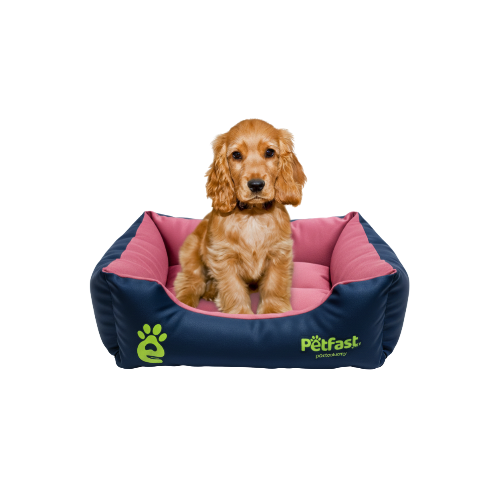Cocker Spaniel Puppy in Navy Pink Bed