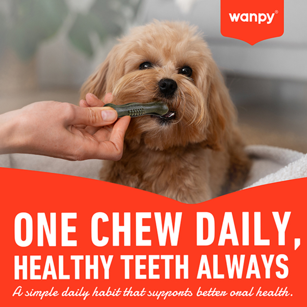Wanpy Treat For Adult Dog Toothbrush Chews Chicken 100 g