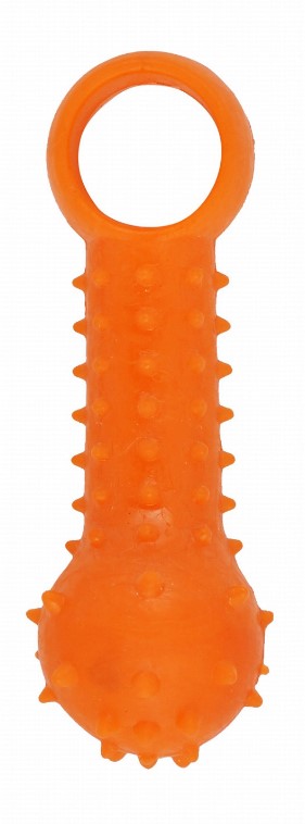 Orgo Orange Dog Chew Toy.