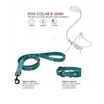 Naomi Collar & Leash Size M.