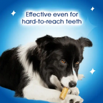 Dentalife Oral Care Dental Treats for Medium Dogs (12-25Kg) 3 Sticks 69g Petfast.shop Dentalife Dental Treat Dog Treats petfast.shop Egypt PDE6965S Default Title 299.00