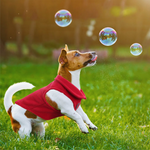 Dog in a red coat playing with bubbles in a grassy field