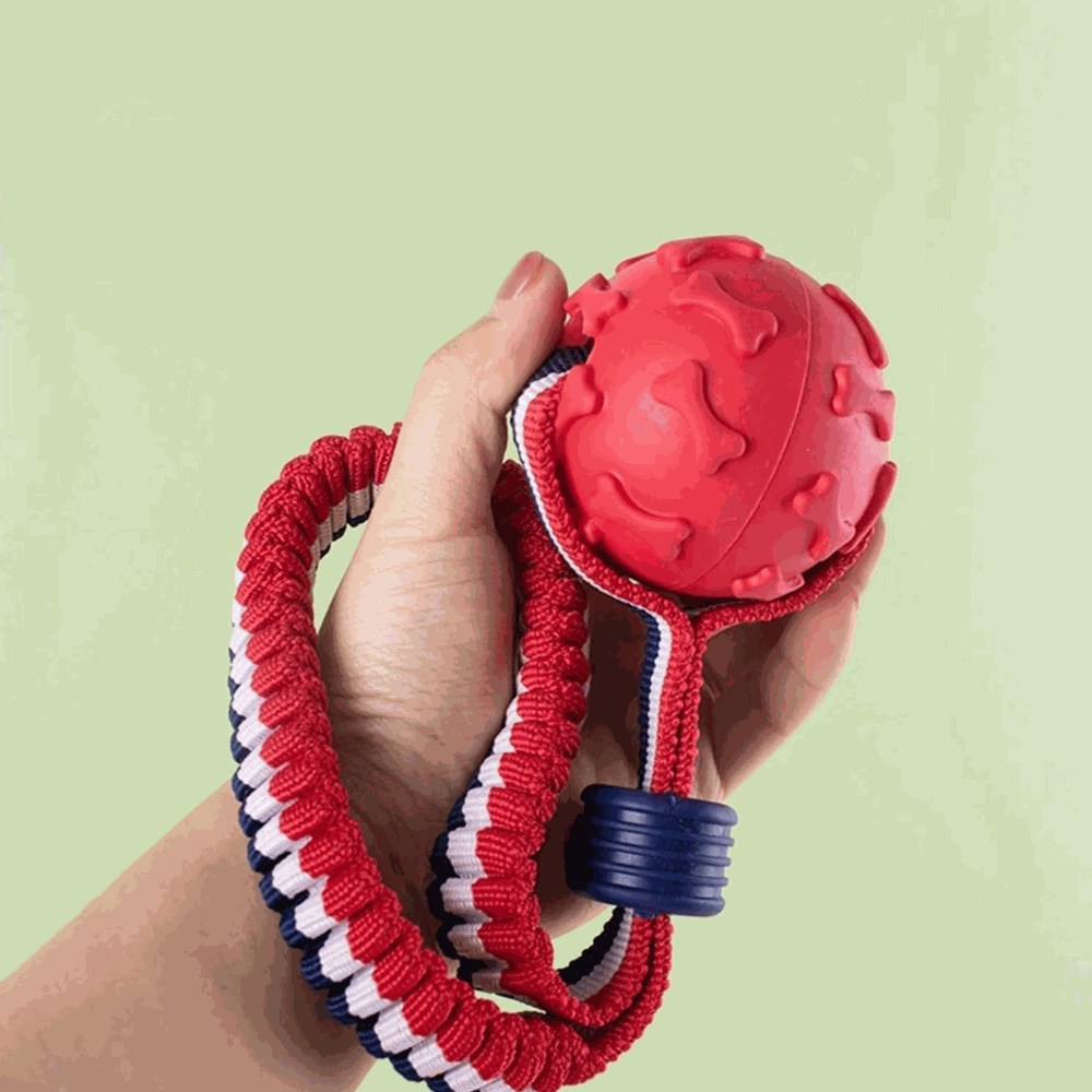 Red dog toy with a rope held by a hand against a light green background