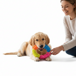 Dog Chew Ring Toy