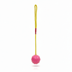 Bomei Pet Dog Chew Ball with Rope Toys Petfast.shop Bomei Dog Supplies Toys petfast.shop EgyptBlue 99.00