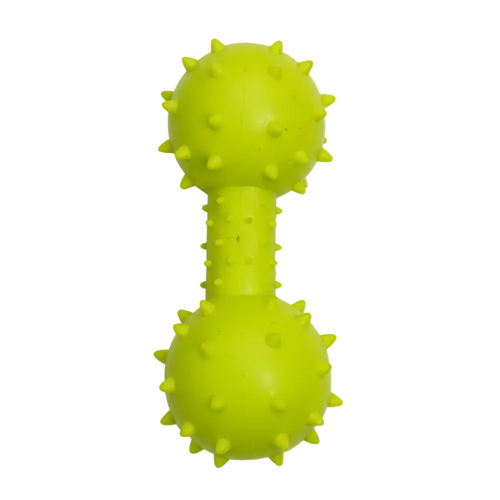 Dog Toy Green - Product Only