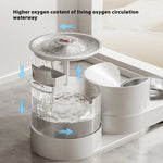 Feeder & water fountain for Pet