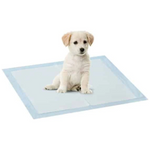 Dog sitting on a blue pet pad with a white background