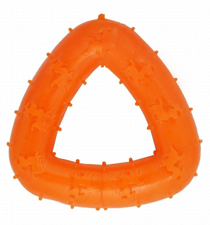 Orgo Triangle Shaped Dog Chew Toy.