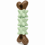 Fish-shaped pet chew toy green standing