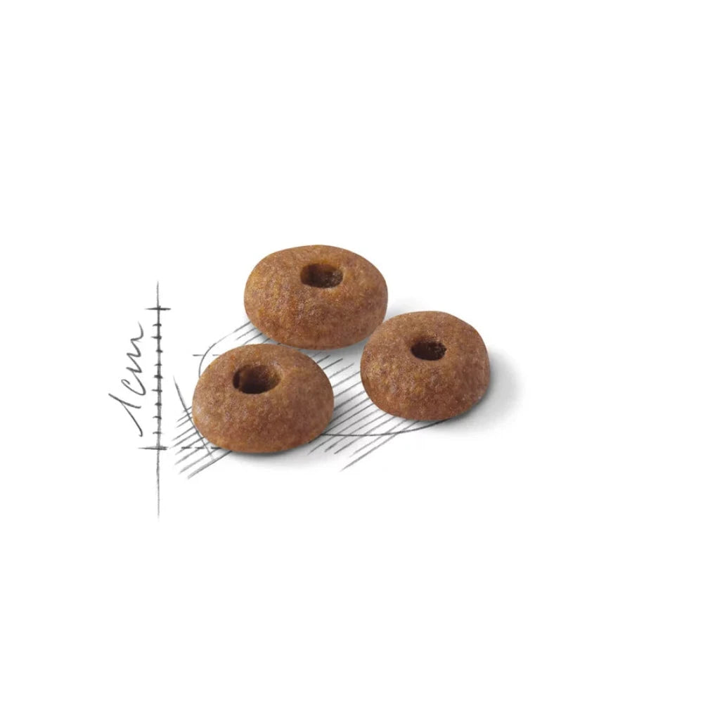 Royal Canin Fit 32 All Breeds Adult Cat Food.