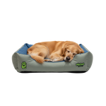 Golden Retriever Sleeping in Grey Blue Bed
