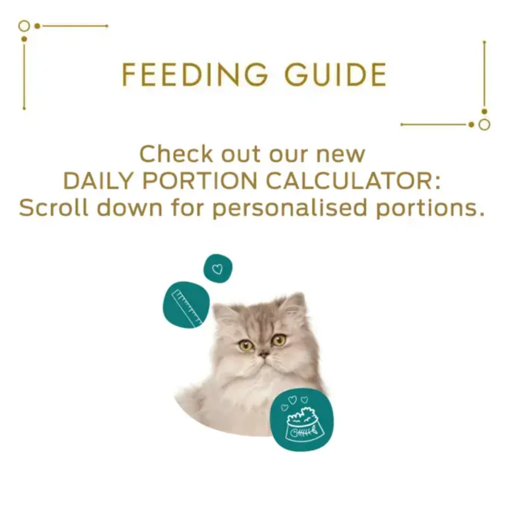 Feeding guide for a cat with a daily portion calculator prompt on a white background