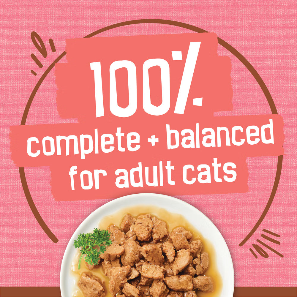 Cat food on a white plate with a pink background and text about complete and balanced diet for adult cats.