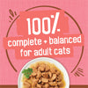 Cat food on a white plate with a pink background and text about complete and balanced diet for adult cats.