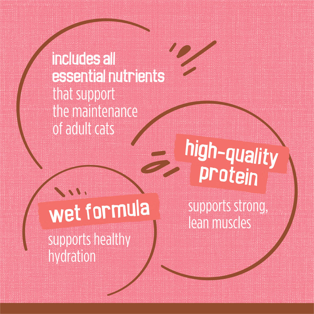 Text on a pink background about cat food ingredients and benefits