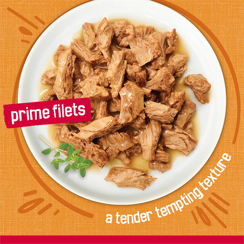 Plate of prime filets with a garnish on an orange background
