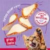Cat food packaging with catnip treats and a cat on a purple background