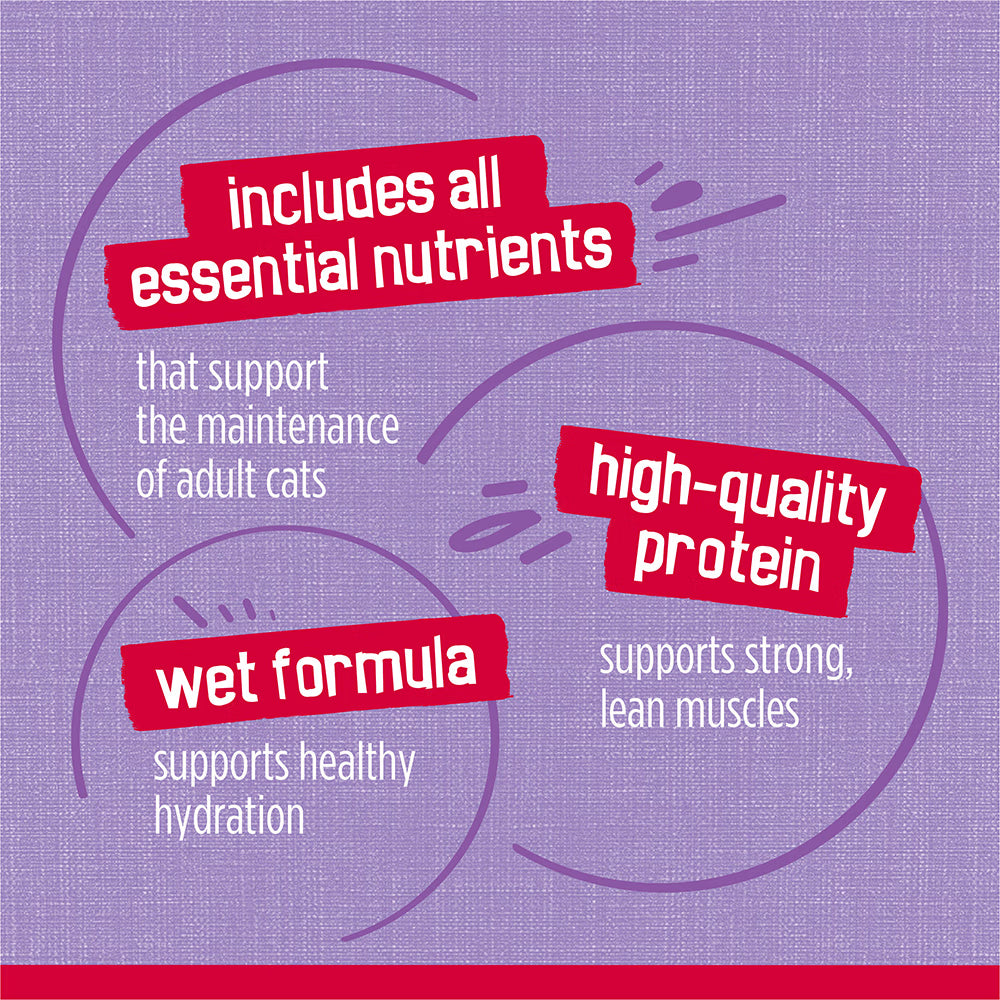 Text on a purple background about cat food ingredients and benefits