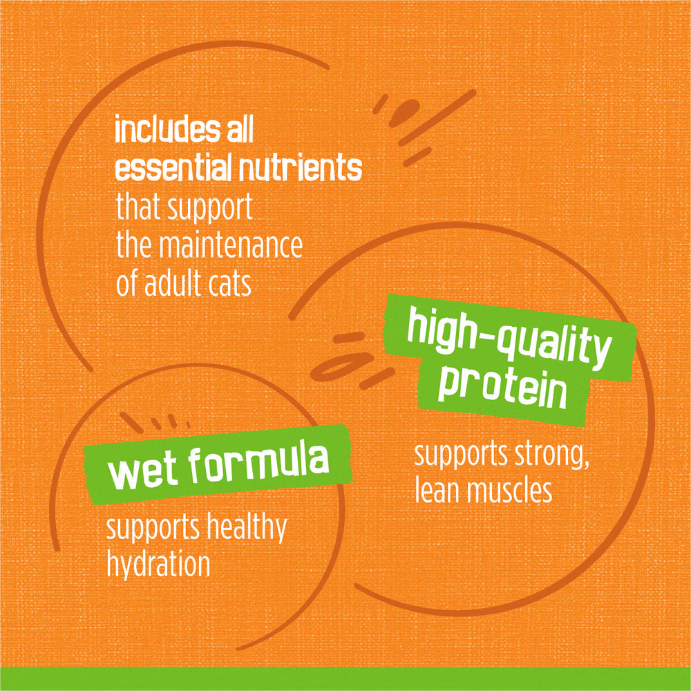 Orange background with green text highlighting features of a cat food product.