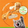 Cat reaching for poultry platter with 'colors are no artificial preservatives' label on orange background