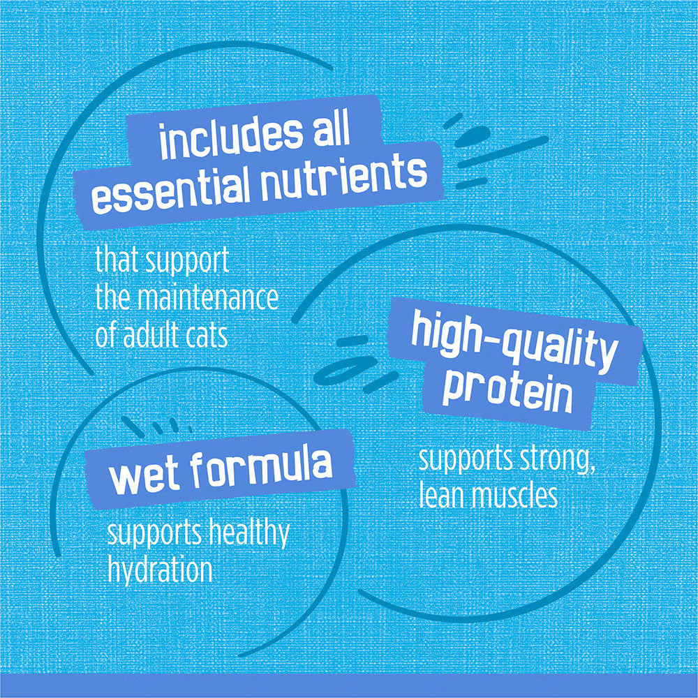 Text on a blue background about cat food ingredients and benefits