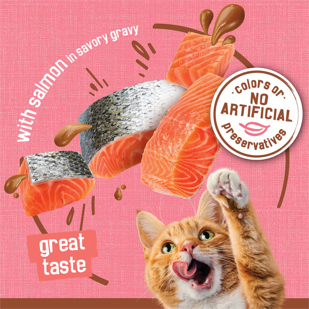 Cat reaching for salmon slices with text about flavors and no artificial preservatives on a pink background