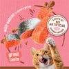 Cat reaching for salmon slices with text about flavors and no artificial preservatives on a pink background