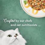 Fancy Feast Medleys White Meat Chicken Primavera with Tomatoes, Carrots & Spinach Cat Wet Food85g