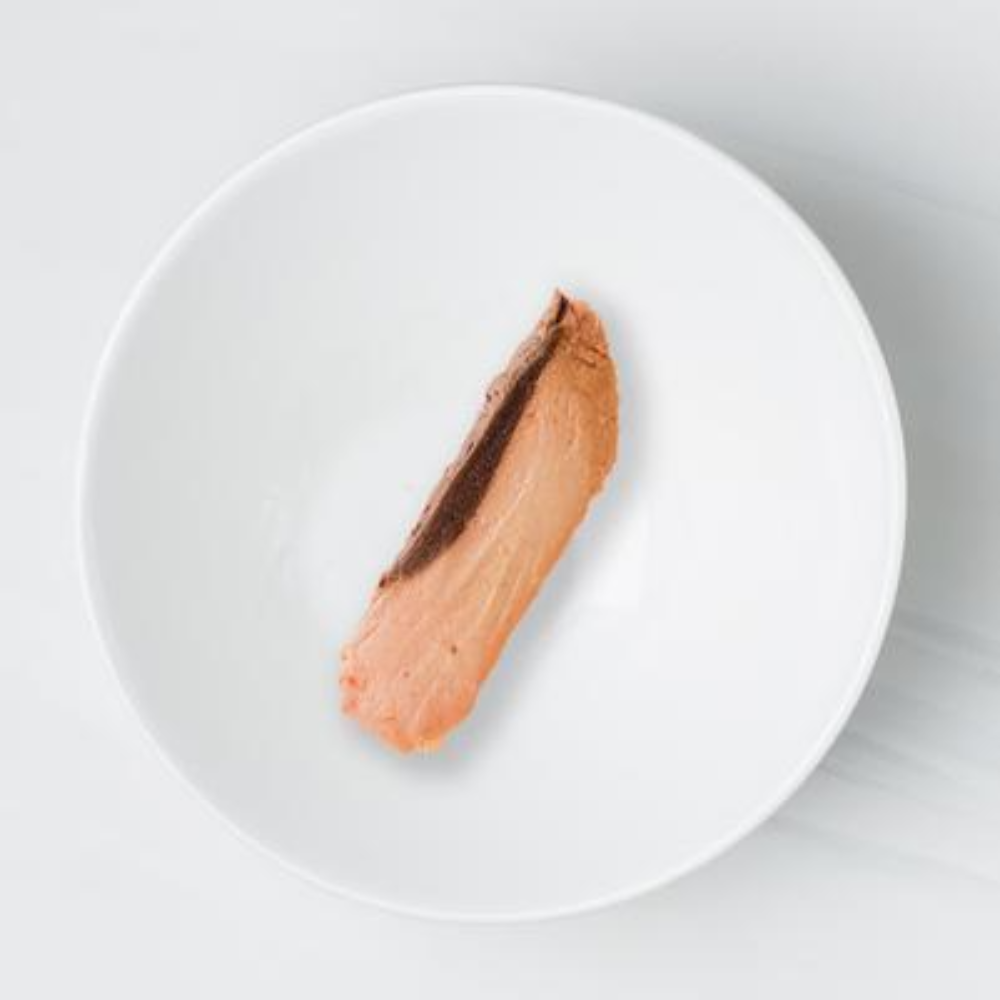 Slice of foie gras on a white plate with a light gray background