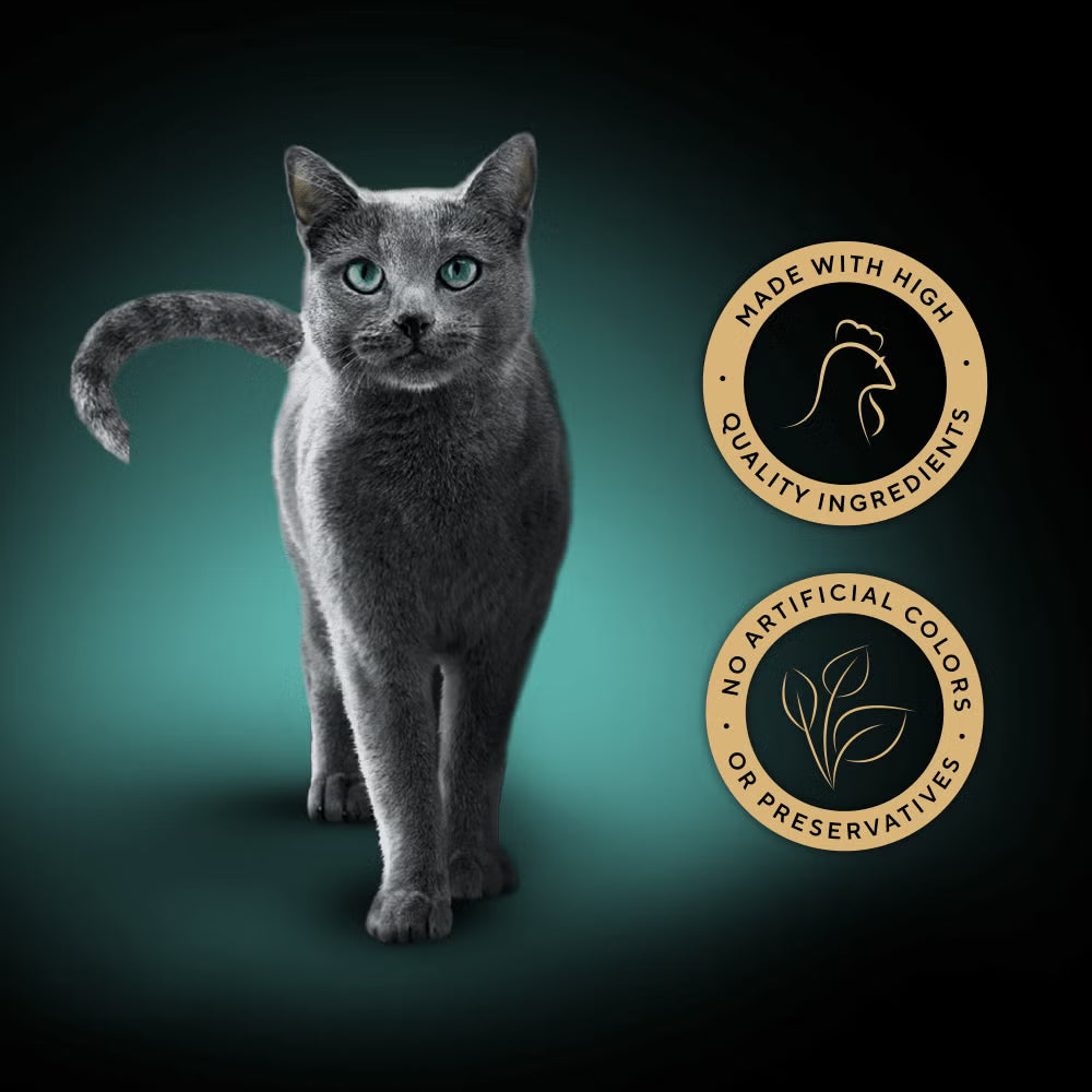 Gray cat standing on a gradient background with two gold logos indicating high-quality ingredients and no artificial colors or preservatives.