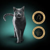 Gray cat standing on a gradient background with two gold logos indicating high-quality ingredients and no artificial colors or preservatives.