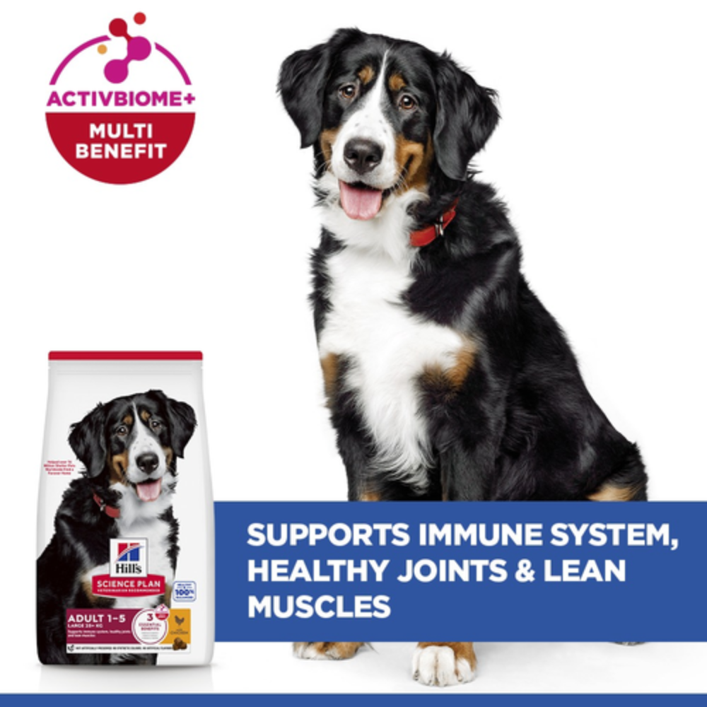 Hill's Science Plan Large Breed Adult Dog Food with Chicken Petfast.shop Hill's Dog Dry Food Food petfast.shop Egypt2.5K 1460.00