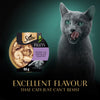 Sheba Filets cat food packaging with a gray cat on a dark background
