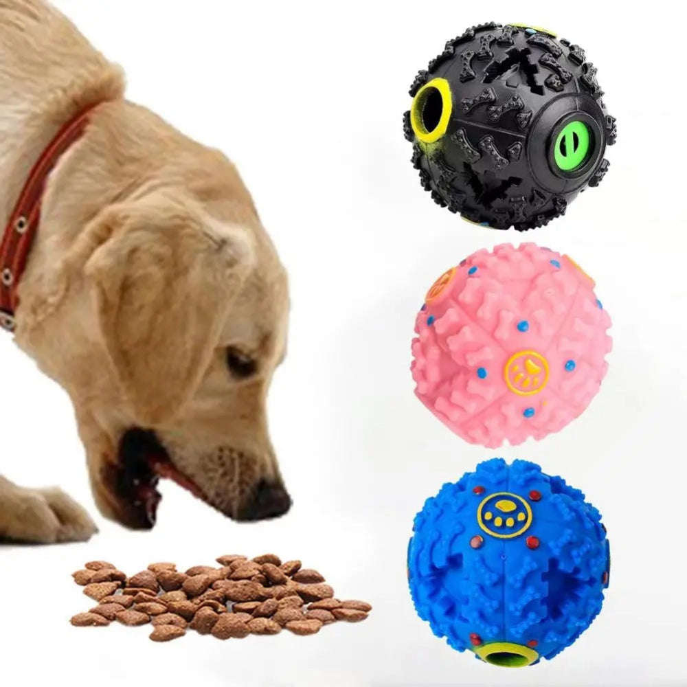 Dog playing with a ball, with three different textured dog toys displayed above.
