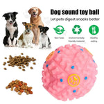 Dog sound toy ball with dogs and food on a white background