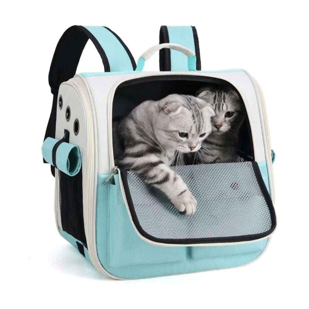 Pet carrier with two cats inside on a white background