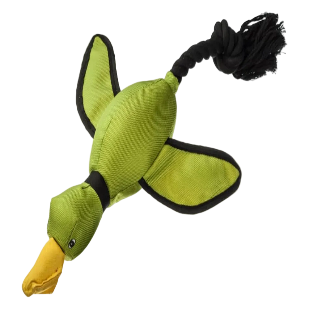 Green duck-shaped toy with a black rope on a white background