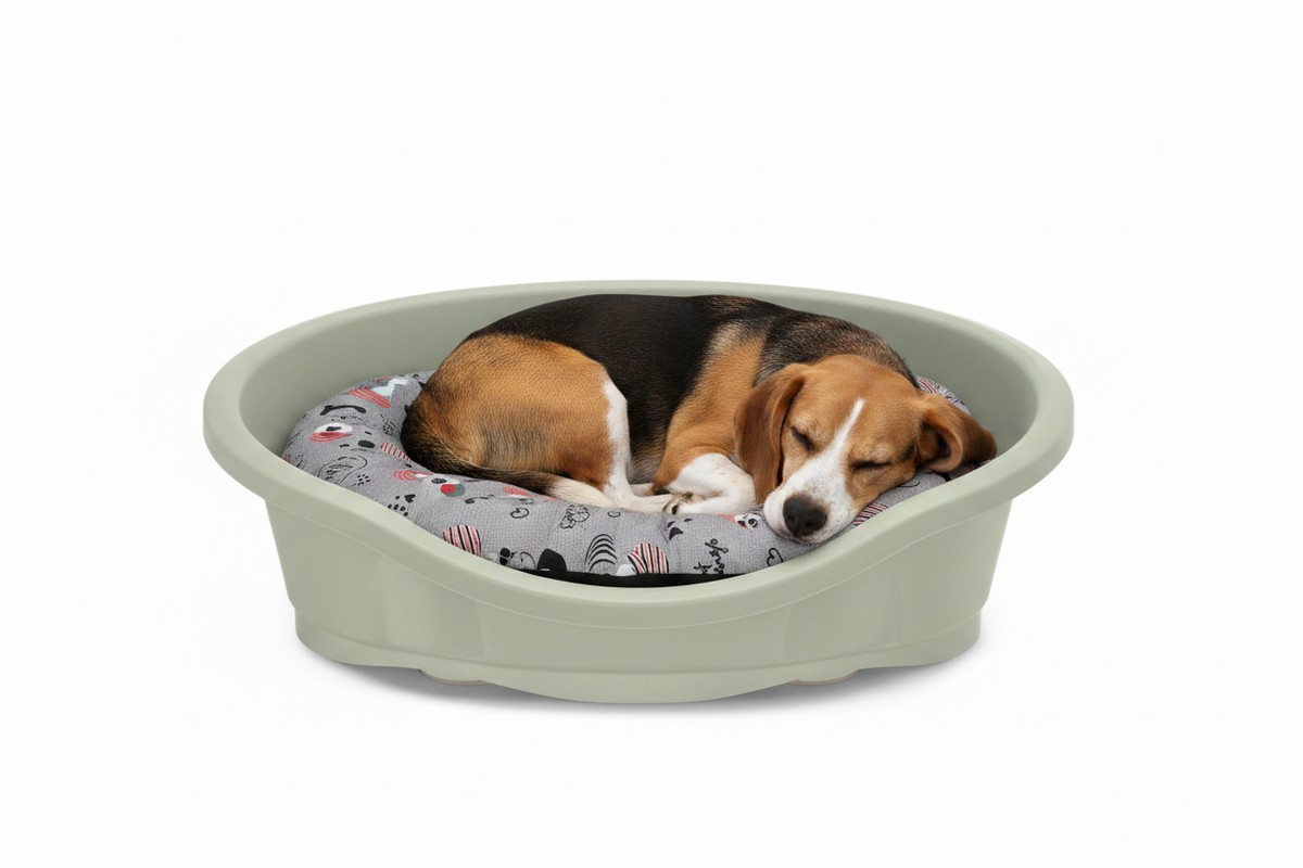 Medium Dog Sleeping in Green Bed